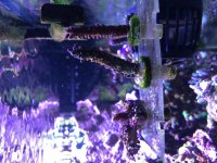 IMG_0204.jpg