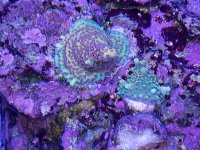 20180520_211414.jpg