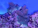 20180520_211422.jpg