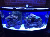 70E270A0-0258-489B-A3C1-60BB4F7C8AB0.jpg