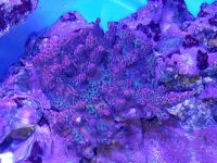 20180520_211431.jpg