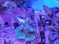 20180520_211439.jpg