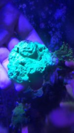 IMG_0274.jpg
