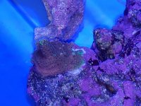 20180520_211448.jpg