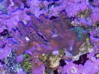20180520_211514.jpg