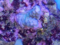 20180520_211539.jpg