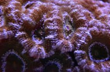 IMG_5927.JPG