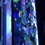 IMG_0522.jpg