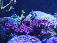 IMG_0581.jpg