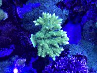 IMG_0550.jpg