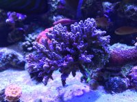IMG_0583.jpg