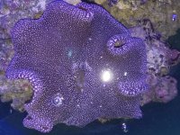 20180521_102056.jpg