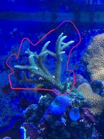 IMG_6674.jpg