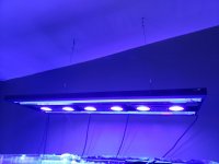 20180521_161006.jpg