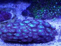 20170910_135921.jpg