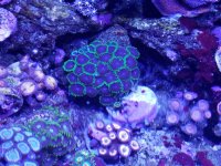 20170910_135813.jpg