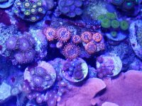 20170910_135818.jpg