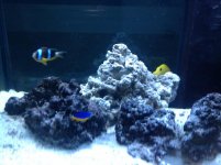 IMG_0162.jpg