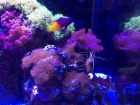 IMG_0207.jpg