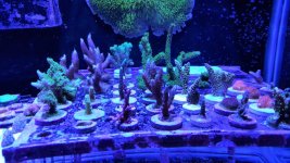 20180225_153541.jpg