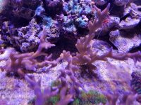 2017-06-18 23.21.47.jpg