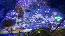 20170911_013209.jpg