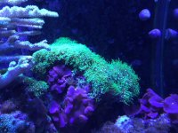 IMG_0225.jpg