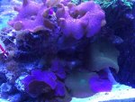 IMG_0226.jpg
