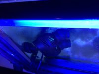 IMG_6278.jpg