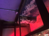 IMG_9259.JPG