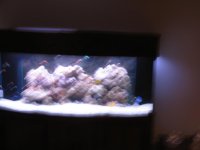 IMG_0152.jpg