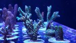 20170911_152651.jpg