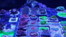 20170911_152709.jpg