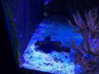 IMG_0227.jpg