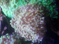 20170911_160553.jpg