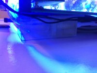 IMG_6279.jpg