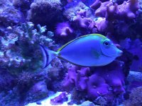 IMG_0241.jpg