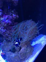 IMG_6509.jpg