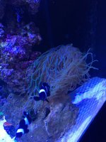 IMG_6508.jpg