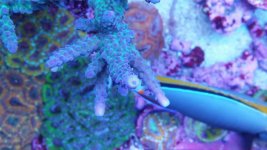 IMG_20170911_190205.jpg