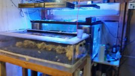 20171204_164720.jpg
