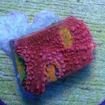 IMG_20170911_190359.jpg
