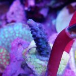 IMG_20170911_192114.jpg