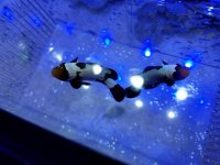 20170412_222514.jpg