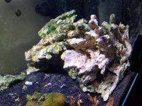 20170908_211730.jpg
