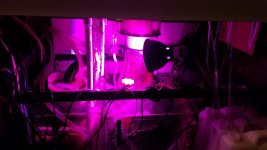 20170905_090423.jpg