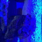 6541C031-CCD5-40CE-AAFF-5239A2BFCCD0.jpg