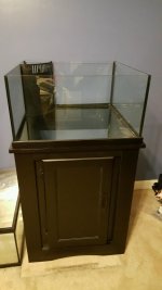 20170216_193946.jpg