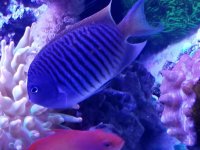 20171209_184100.jpg