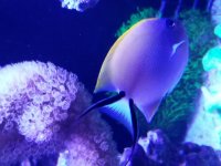 20171209_183936.jpg